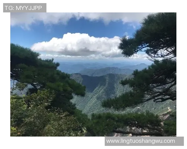 赛后分析：杭州羽毛球队与南京羽毛球队的战术意识与表现对比