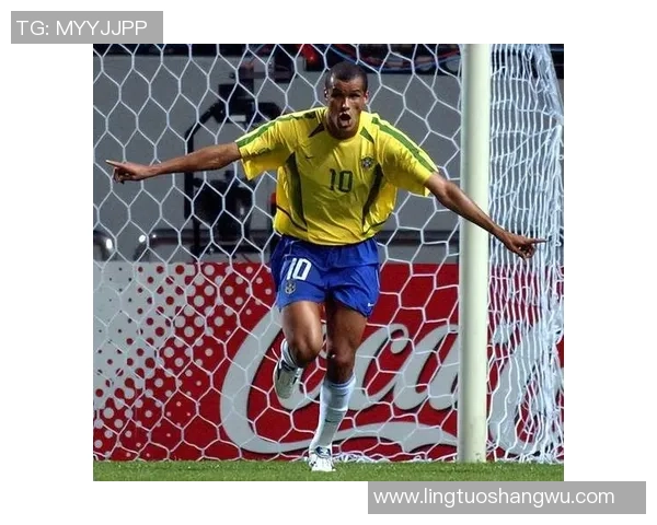 巴西足球历史上的顶尖明星排名与成就回顾