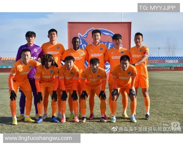 武汉足球队崛起之路：城市联赛中的奋斗与荣耀