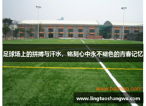 足球场上的拼搏与汗水，铭刻心中永不褪色的青春记忆