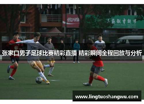 张家口男子足球比赛精彩直播 精彩瞬间全程回放与分析