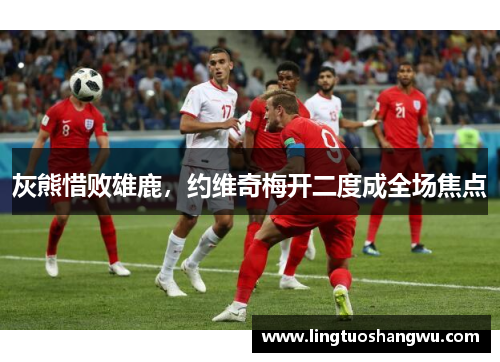 灰熊惜败雄鹿，约维奇梅开二度成全场焦点
